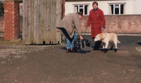 bertie-dog-boot-filming